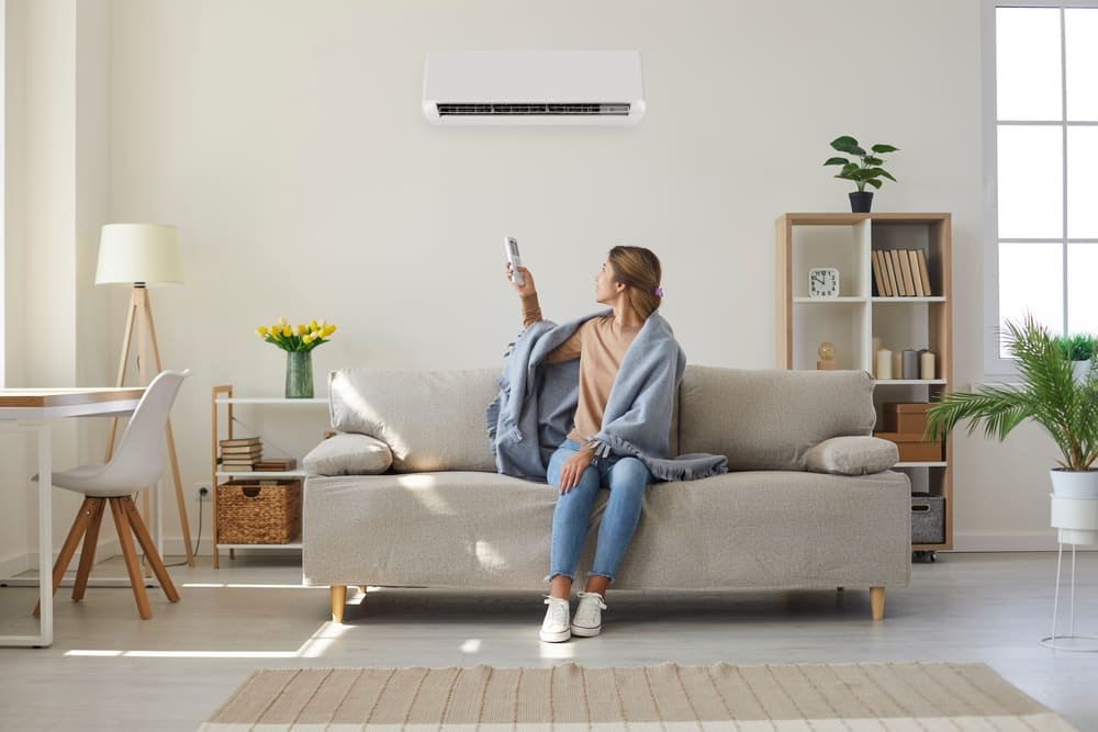 Intérieur confortable et lumineux climatisé toute l'année